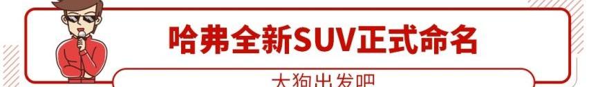 宝马,纳瓦拉,奥迪,哈弗,日产