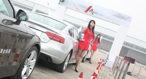 奥迪,奥迪A8,奥迪A5,奥迪A3,奥迪A4L