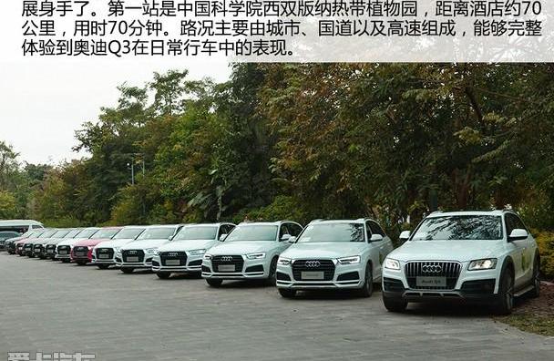 奥迪,奥迪Q3