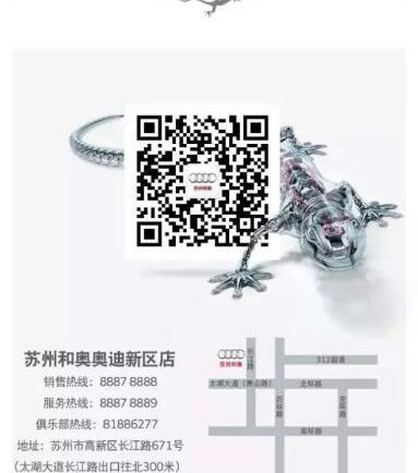奥迪,优越,奥迪Q3,发现