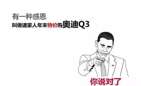 奥迪,奥迪Q3