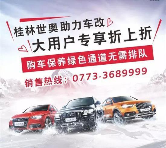 奥迪,奥迪Q3