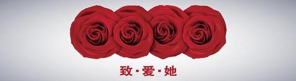 奥迪,奥迪Q3