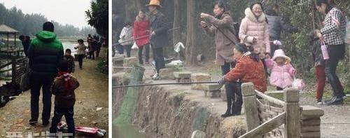 奥迪,大众,一汽