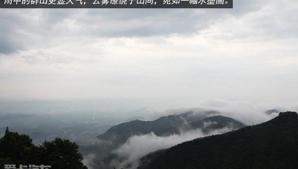 奥迪,奥迪Q3,大众,理念,一汽