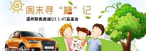 奥迪,奥迪Q3,大众,一汽