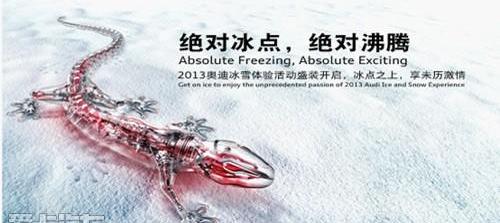 奥迪,奥迪Q3,路虎,大众,桑塔纳