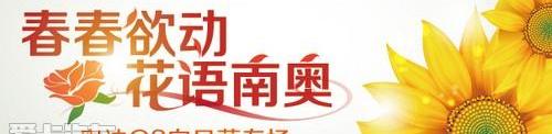 奥迪,奥迪Q3,发现,大众,一汽