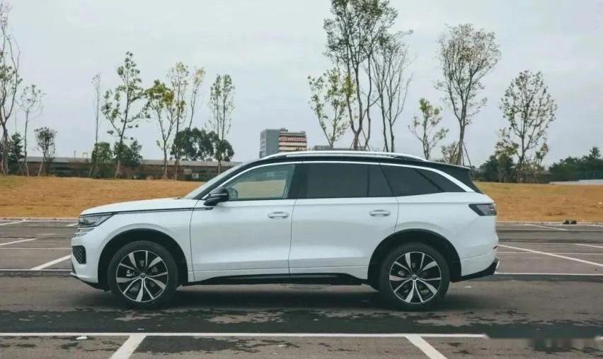 揽巡,皇冠,皇冠陆放,红旗,红旗HS7