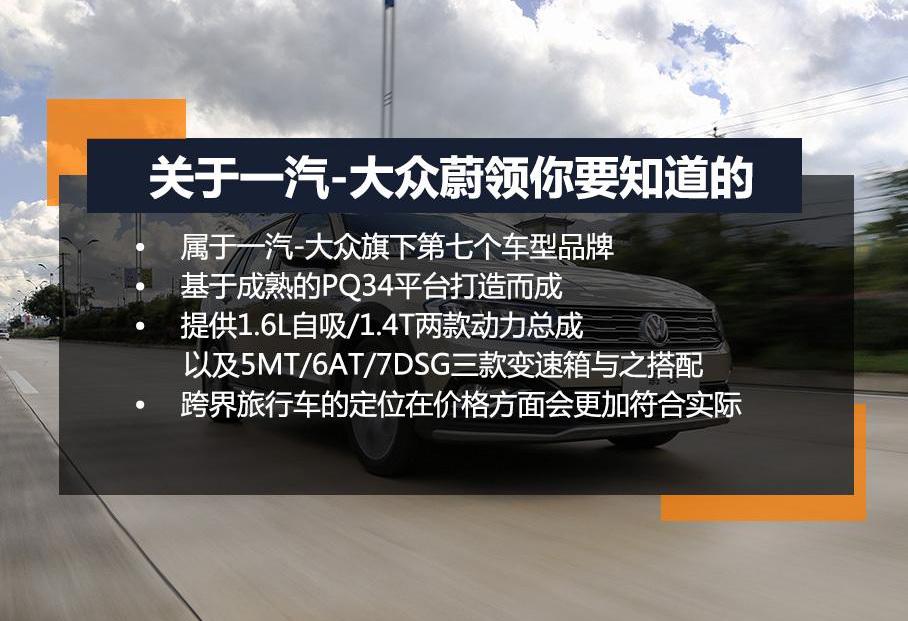大众,一汽,奥迪,迈腾,高尔夫