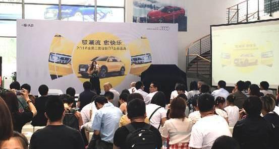 奥迪,奥迪Q3,昂扬,大发,天籁