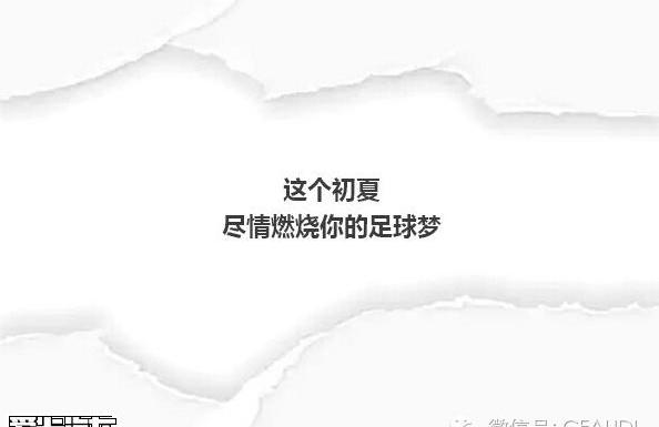 奥迪,奥迪A3,奥迪Q3,奥迪A4L,世纪