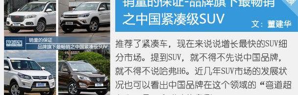 大众,哈弗,哈弗H6,理念
