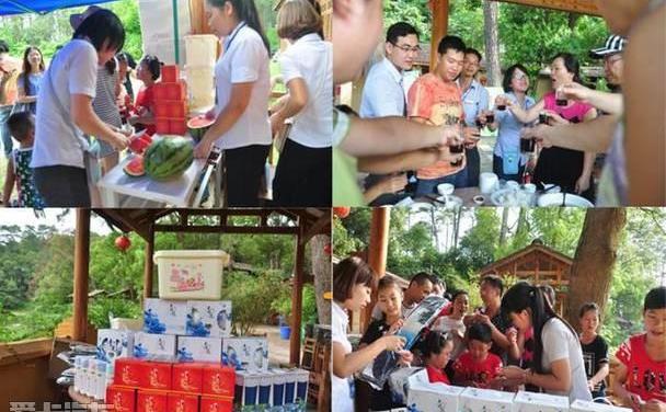 哈弗,宝马,哈弗H6,奥迪,奥迪Q3