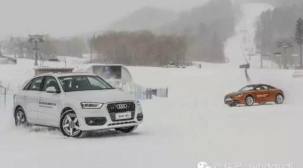 奥迪,奥迪A4L,奥迪Q3,大众