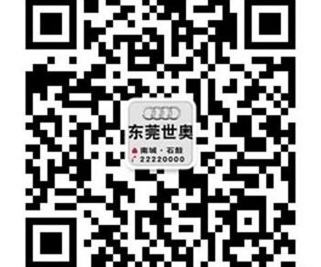 奥迪,奥迪A4L,奥迪Q3,世纪