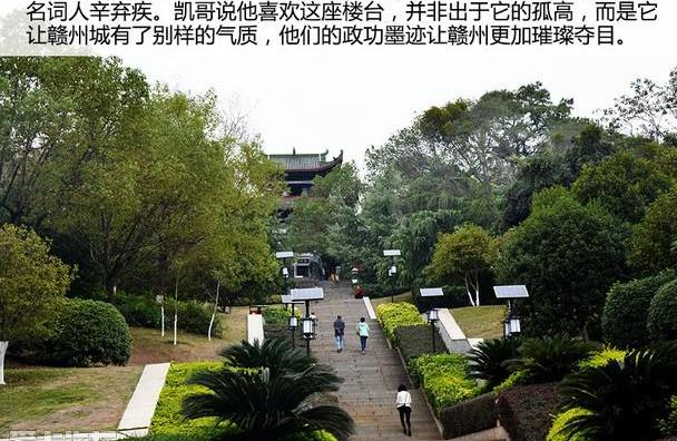 炮,长安,马自达