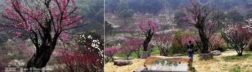 奥迪,奥迪Q3,大众,一汽