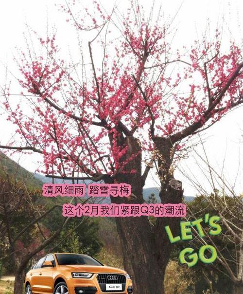 奥迪,奥迪Q3,大众,一汽