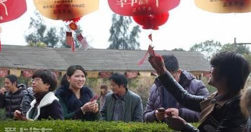 奥迪,奥迪Q3,大众,好运,一汽