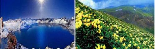 奥迪,大众,一汽,奥迪Q3