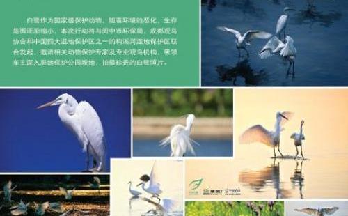 奥迪,奥迪Q3,理念,现代