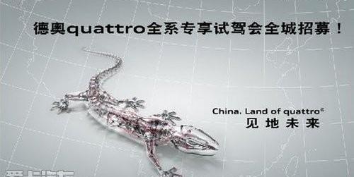 奥迪,奥迪Q3,奥迪Q7,奥迪A4L,奥迪A8
