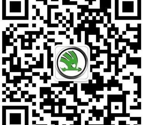 斯柯达,速派,大众,奥迪,奔驰