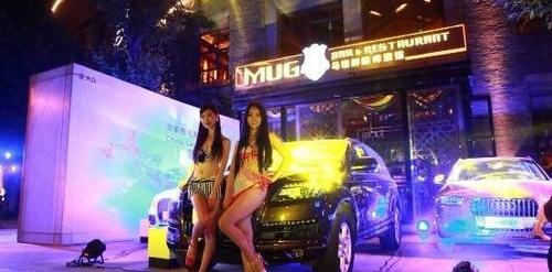 奥迪,奥迪Q3