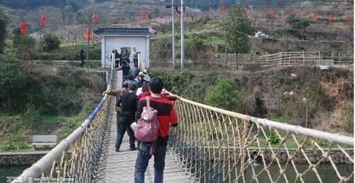 奥迪,奥迪Q3