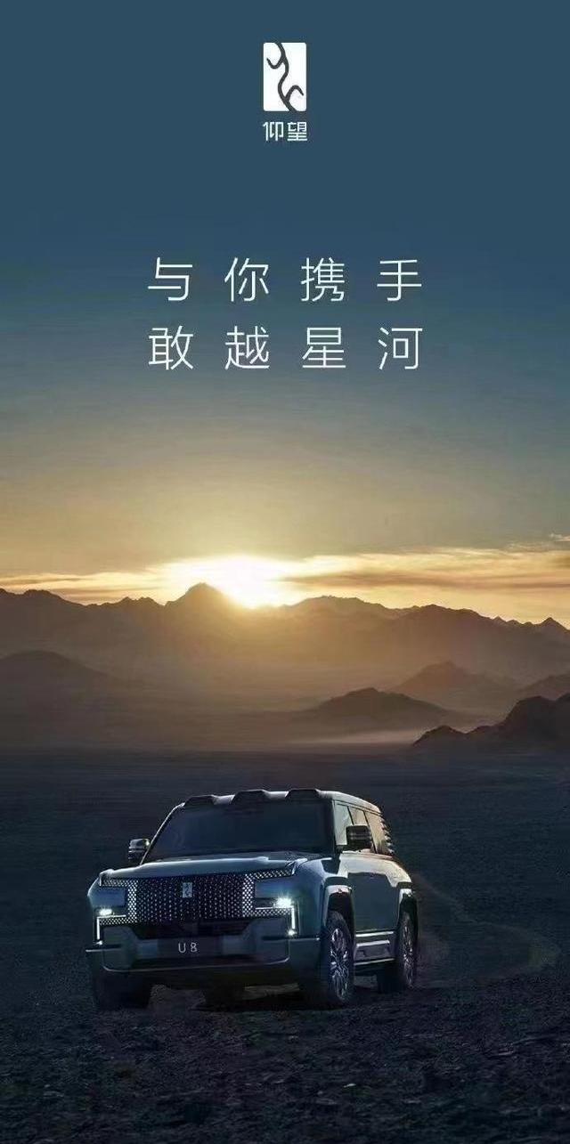 仰望,比亚迪,东风,东风风行,奥迪