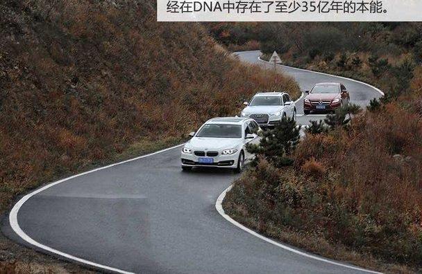 理念,现代