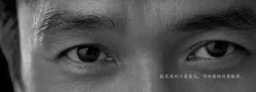 奥迪,奥迪A6,奥迪A8,奥迪Q7,奥迪R8