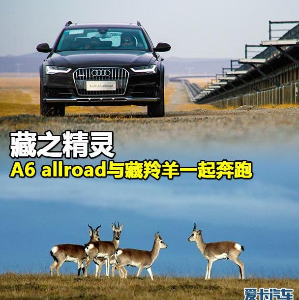 奥迪,奥迪A6