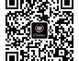 凯迪拉克,奥迪,奥迪A6,奔驰,宝马5系