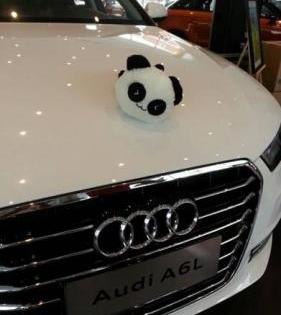 奥迪,奥迪A6,777
