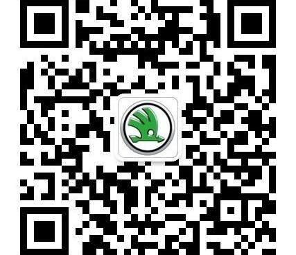 速派,奥迪,斯柯达,胜达