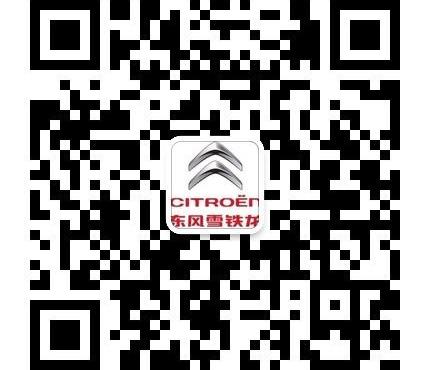 长安,东风,大众,雪铁龙,一汽