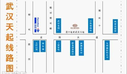 起亚,汉,理念,奥迪,北京