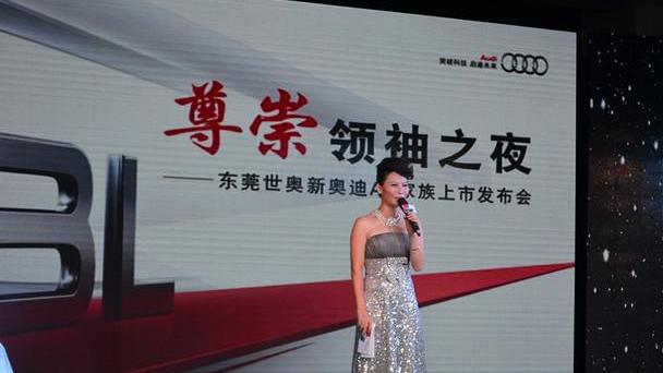 奥迪,奥迪A8,曼