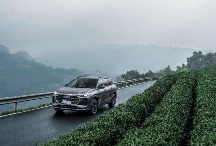 奥迪,奥迪Q6,宝马,林肯,飞行家