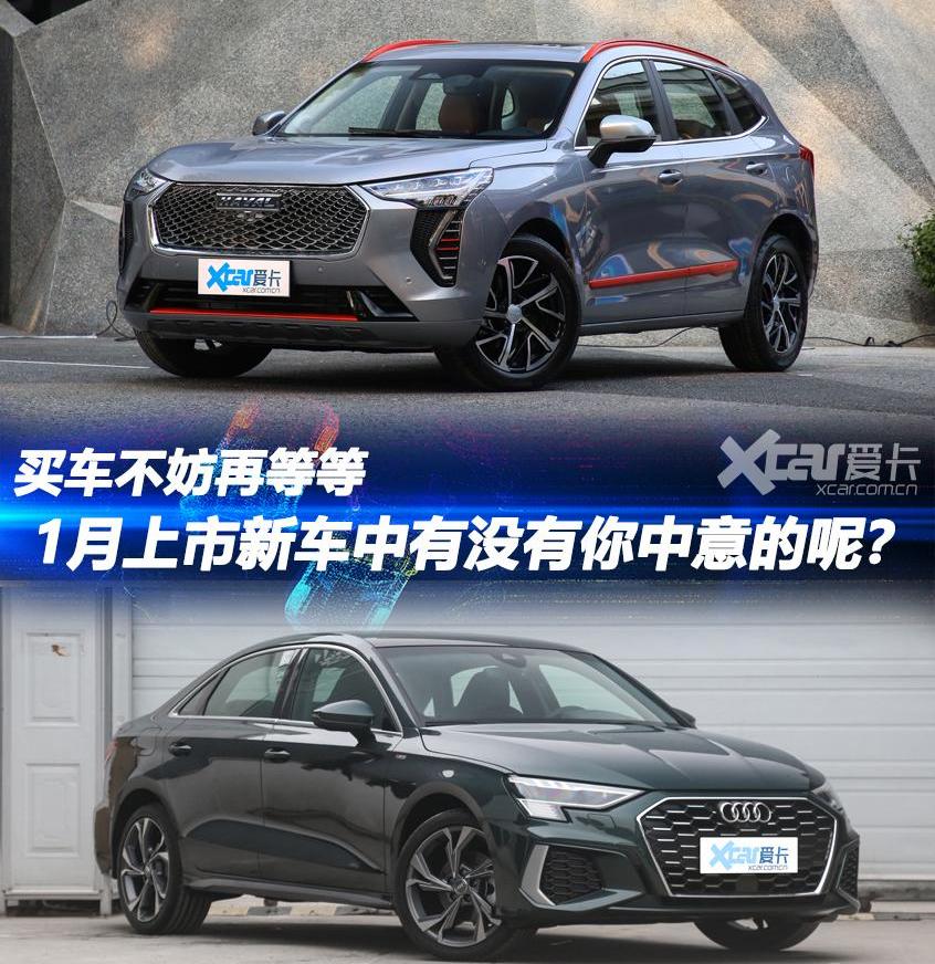 哈弗,哈弗初恋,奥迪,奥迪A3,哈弗H6