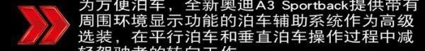 奥迪,奥迪A3,大众,理念,一汽