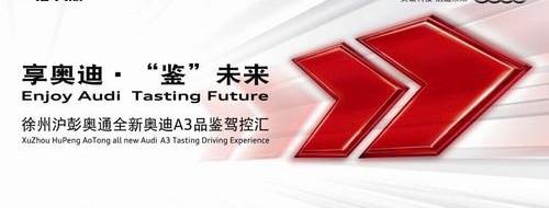 奥迪,奔腾