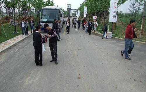 奥迪,奥迪A3,高尔夫