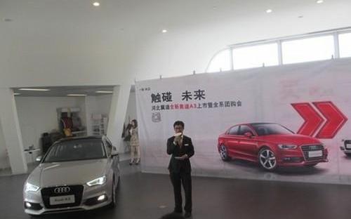 奥迪,奥迪A3