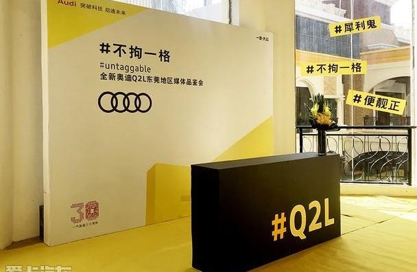 奥迪,奥迪Q2L,奥迪Q3,奥迪A3,大众