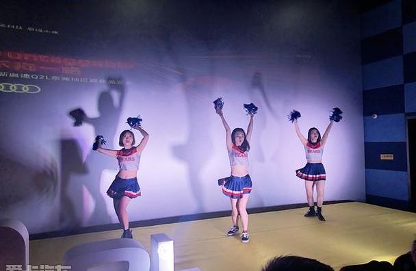 奥迪,奥迪Q2L,奥迪Q3,奥迪A3,大众