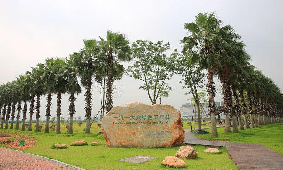 大众,一汽,奥迪,高尔夫,理念