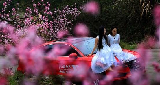 奥迪,奥迪A3,大众,一汽